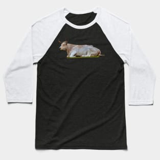 Resting White Park Cow Baseball T-Shirt